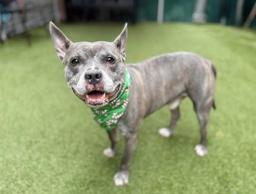 G lYs0 bQAACEmS?format=jpg.jpg