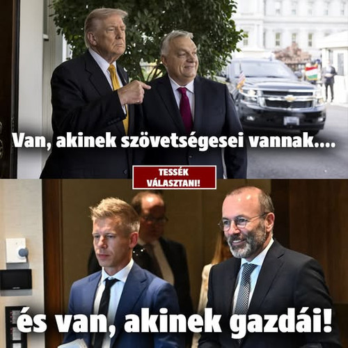 617583689 1181373654210212 5884493375198620182 n.jpg?stp=dst jpg p526x296 tt6& nc cat=110&ccb=1 7& n.jpg