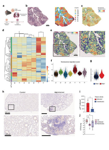 G O4oCcWcAA7EqO?format=jpg.jpg