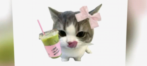 imagen.png