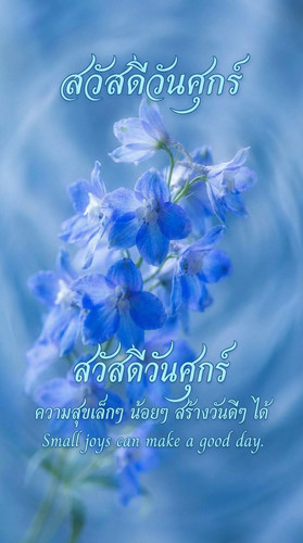 uc?id=1YbX Uoj1f0hTiZRotaYuKH94o hIN4UP&export=download.jpg