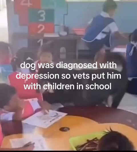OXY6BJ7ECyjUz 9R.jpg