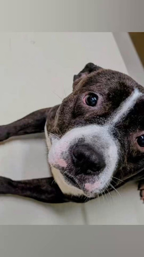 0P3X2fuYxjm sjNy.jpg