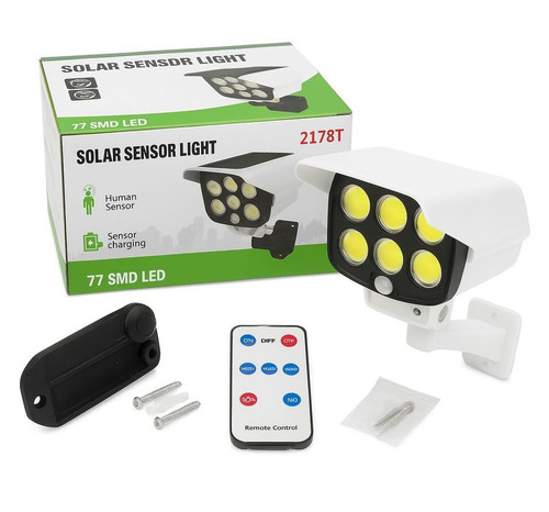 Camera Solar Light 9.jpg