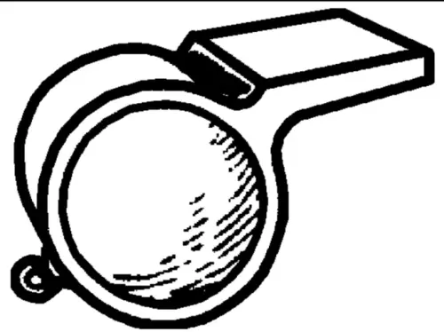 c597e81ad85b.webp