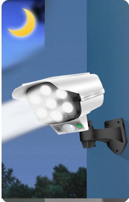 Camera Solar Light 1.jpg