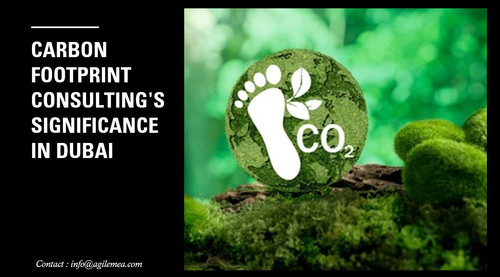Carbon footprint..jpg