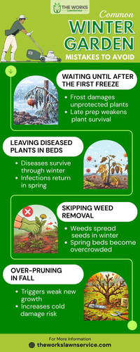 Common Winter Garden Mistakes to Avoid.jpg