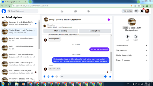 shelly2.png
