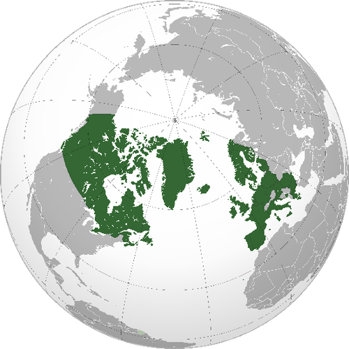 EDCO (Orthographic Projection).png