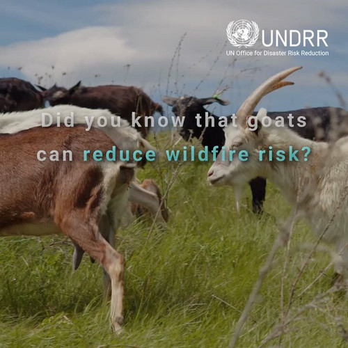 T5XCSVCMr UU9BiP.jpg