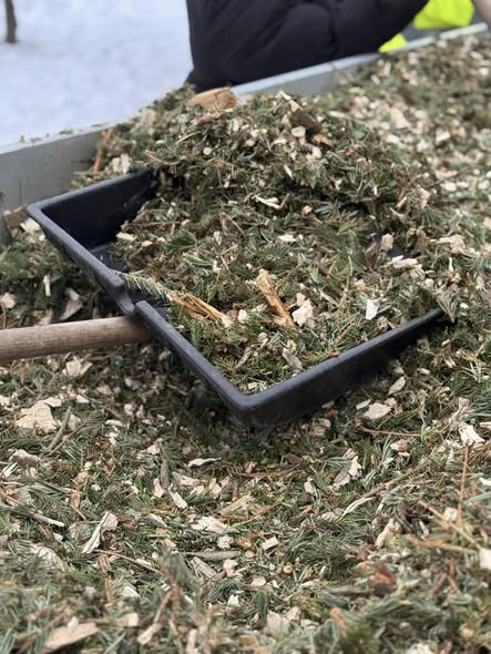 622124391 1433457828355273 7068034023548773025 n.jpg?stp=cp6 dst jpg s590x590 tt6& nc cat=110&ccb=1 .jpg