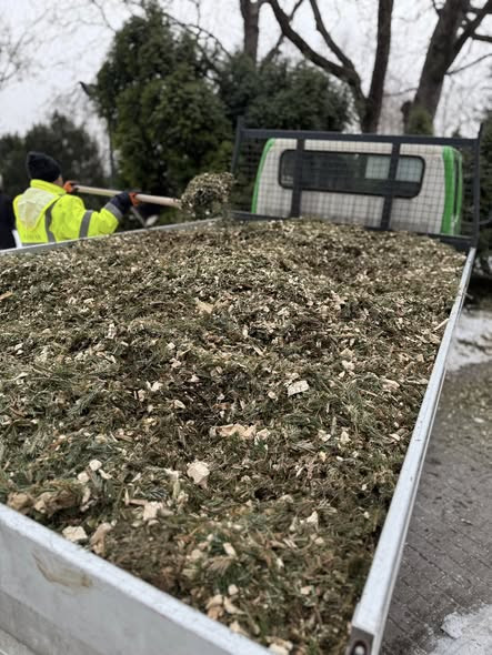 618722732 1433457805021942 4174011444940875884 n.jpg?stp=cp6 dst jpg s590x590 tt6& nc cat=103&ccb=1 .jpg