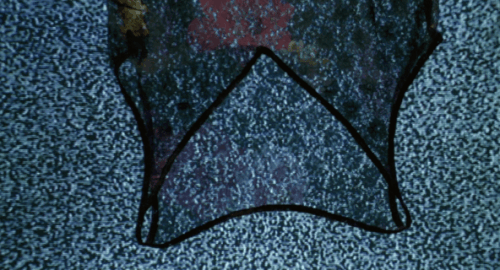 1ezgif.com resize (43).gif