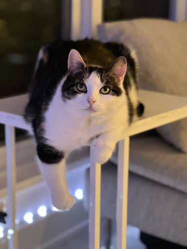 619348363 876011415220405 7970173698071093114 n.jpg