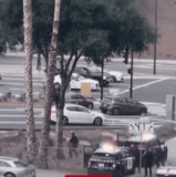 1000015187.gif