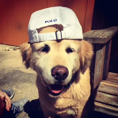 snaptik 7551679364857924872 2.jpg