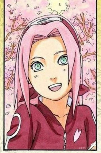 Camera XHS 17691859774541040g00831bd6gds47g005oho6088c6o9i30s4m8.jpg