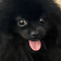 ezgif.com animated gif maker.gif