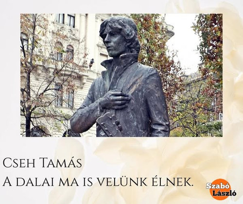 617761654 780231321760440 7409440165486003706 n.jpg?stp=dst jpg s600x600 tt6& nc cat=102&ccb=1 7& nc.jpg