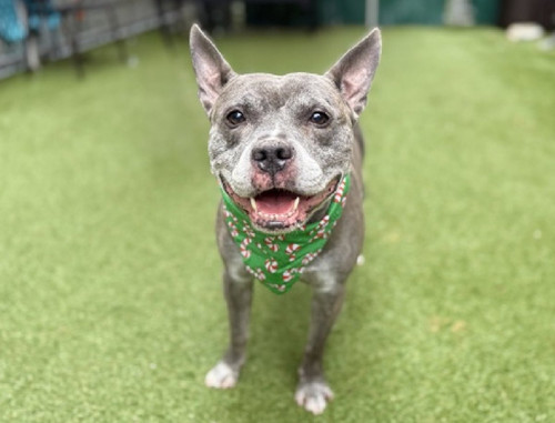 G lY4hMbMAAtpbu?format=jpg.jpg