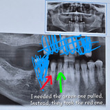 bafkreidqjnrt7eafcjtkkiqxnujxv72od67xwwrhwoufb2vupkhaexwque