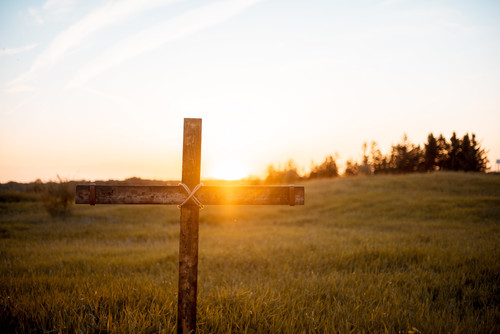 closeup shot handmade wooden cross field with sun shining.jpg