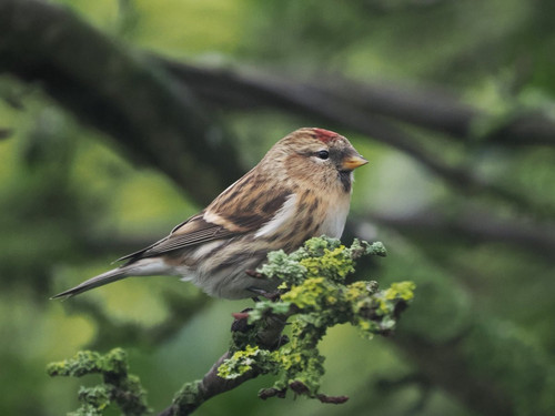 G QBAaAWgAAH9jL?format=jpg.jpg