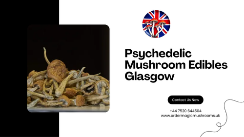 Buy Psychedelic Mushroom Edibles Glasgow by Ordermagicmushrooms.png