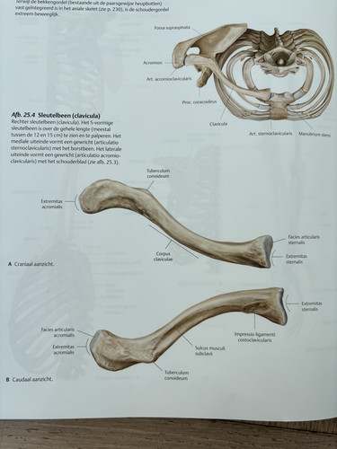 e049c52ecf42.jpg