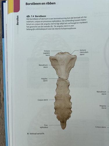 83de1de44734.jpg