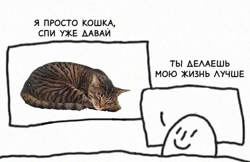G SHXQyXkAEcJ5C?format=jpg.jpg