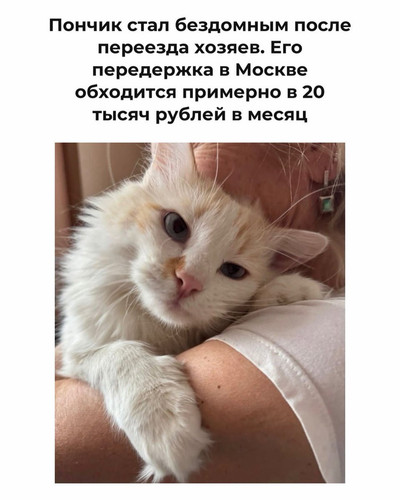 G SZ0ZzXgAAuiYk?format=jpg.jpg