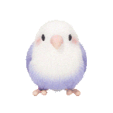 mmexport1753645030004.gif