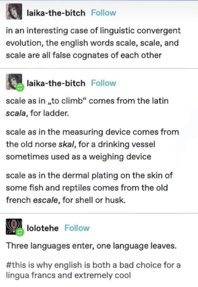 487420768 2448281522176142 5059866886175626877 n.webp