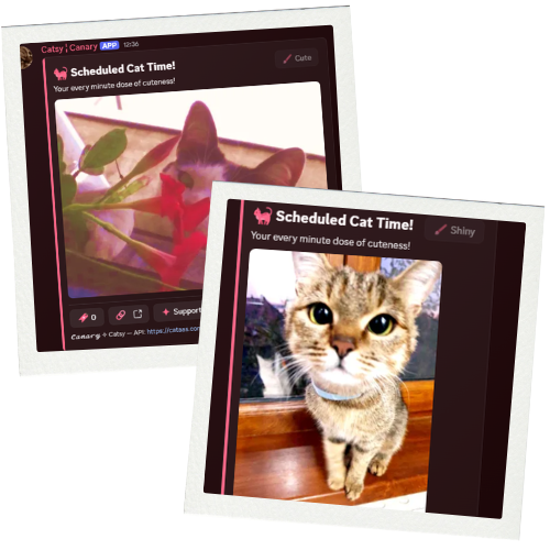 Welcome messages preview