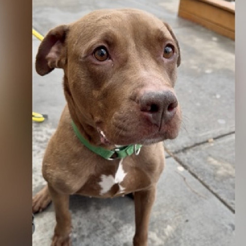 G wSNarbQAQcbpF?format=jpg.jpg