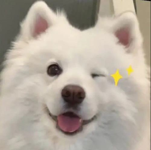 屏幕截图 2026 01 23 030220.jpg