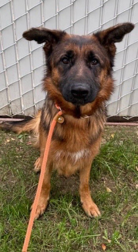 G SIhjTWIAAavC2?format=jpg.jpg