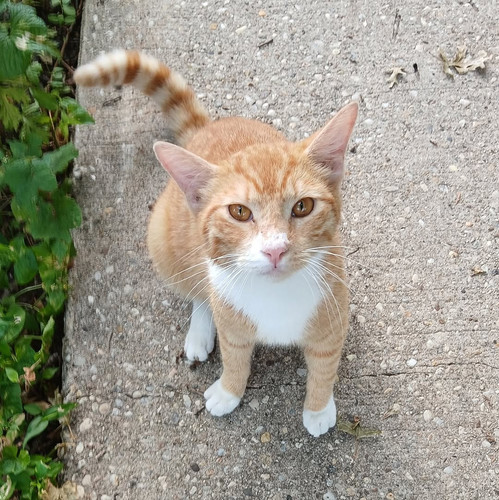 G MN0dYWkAEKWJK?format=jpg.jpg