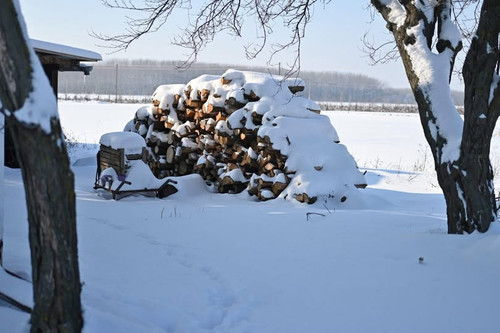 619192096 1281881593752250 5725686042882105910 n.jpg?stp=dst jpg p180x540 tt6& nc cat=108&ccb=1 7& n.jpg