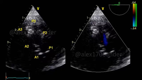 GCogswY D oHpSaV.jpg