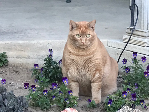 G SMnk bwAAN61b?format=jpg.jpg