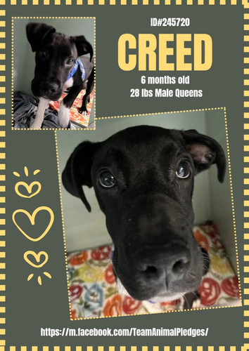 G SJm vXQAAg8YG?format=jpg.jpg