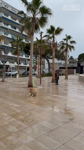 J1uTlFCIUFA vjU6.jpg