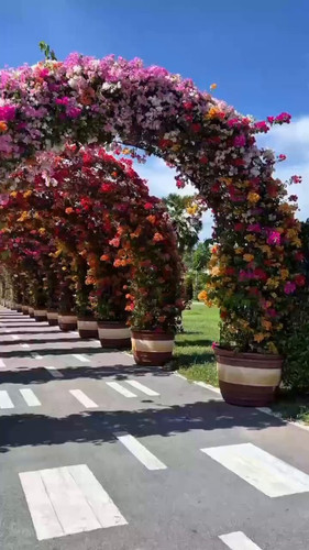 9I5Htd 0A2PIzjVe.jpg