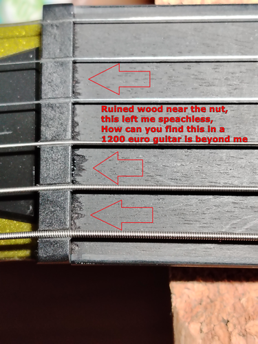 IMG 20260123 163404 2.png