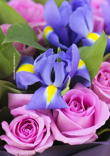 G W7666WsAA8zx3?format=jpg.jpg