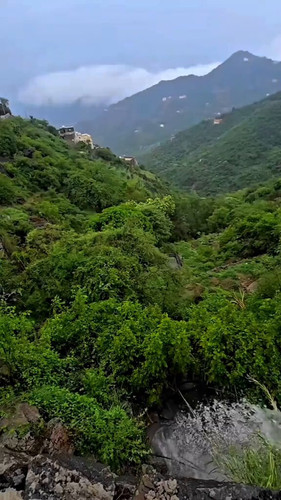 zbQWC CFNidMjKd2.jpg