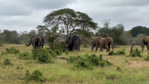 j3fVvwV420rB d5k.jpg